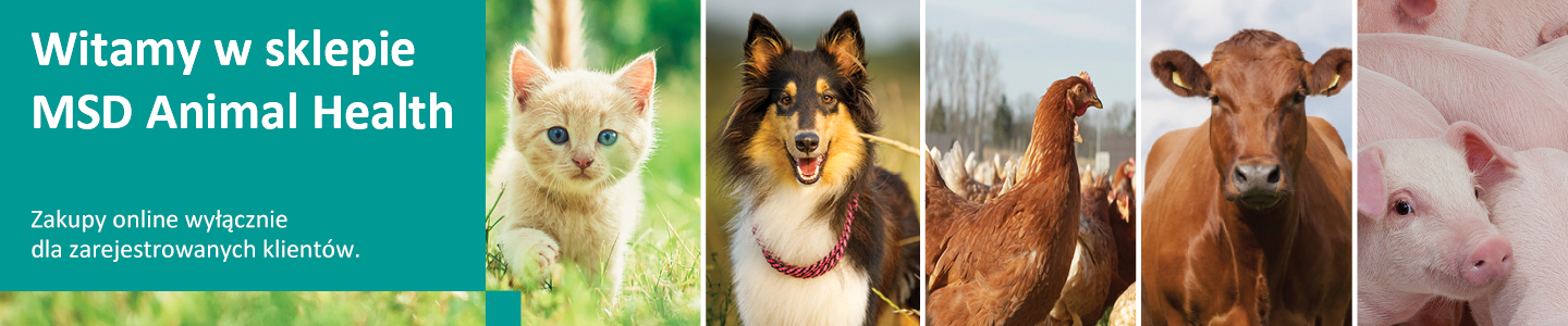 MSD Animal Health Logo